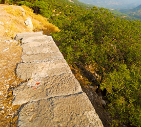 Similar image 11415955