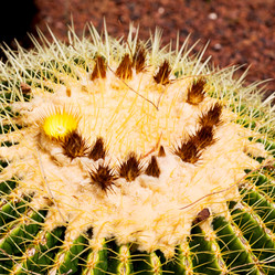 Similar image 11416069