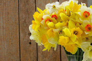 Similar image 11425823