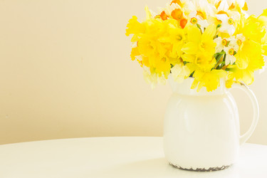 Similar image 11425825