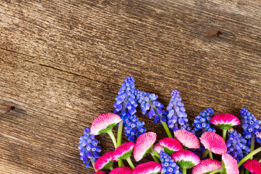 Similar image 11425827