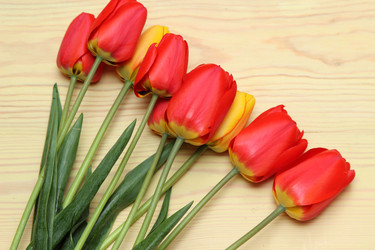 Similar image 11414634