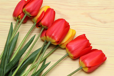 Similar image 11414641