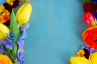 Similar image 11425986