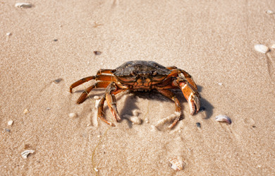 Similar image 11414422