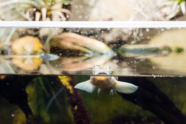 Similar image 11418539