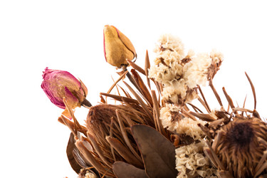 Similar image 11419422