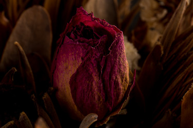 Similar image 11419433