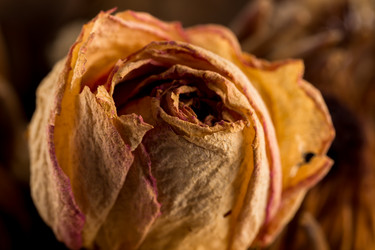 Similar image 11419435