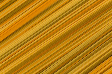 Similar image 11419462