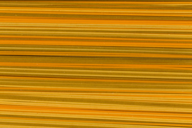 Similar image 11419466