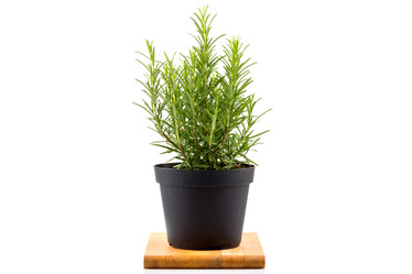 Similar image 11419500