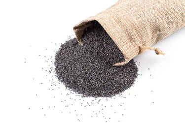 Similar image 11419501