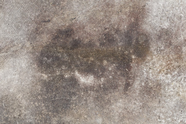 Similar image 11419344