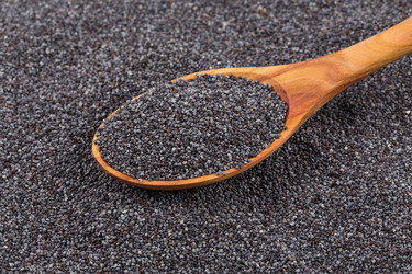 Similar image 11419355