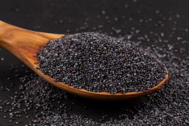 Similar image 11419369