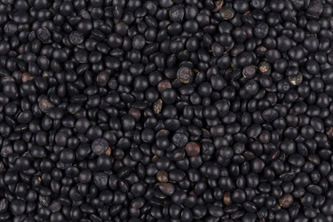 Similar image 11419378