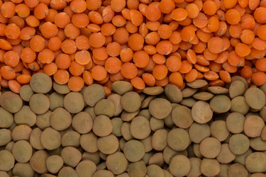 Similar image 11419401