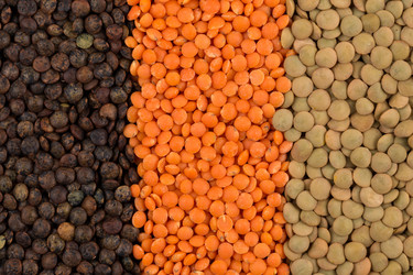 Similar image 11419409