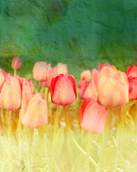 Similar image 11423574