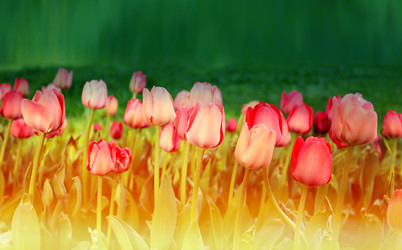 Similar image 11423575