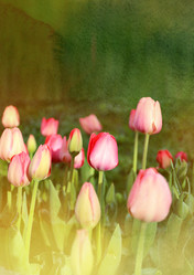 Similar image 11423576