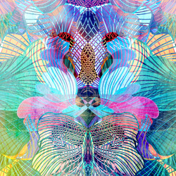 Similar image 11423468