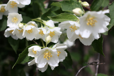 Similar image 11416027