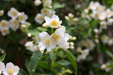 Similar image 11416028