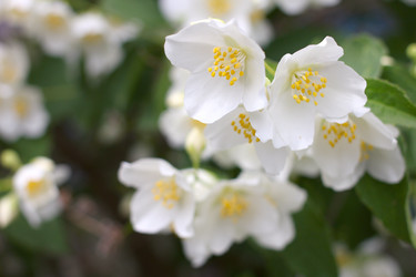 Similar image 11416030