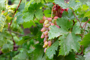 Similar image 11416031