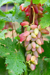 Similar image 11416032