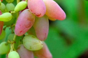 Similar image 11416033