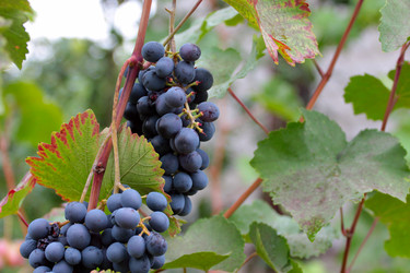 Similar image 11416035