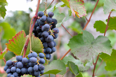 Similar image 11416036