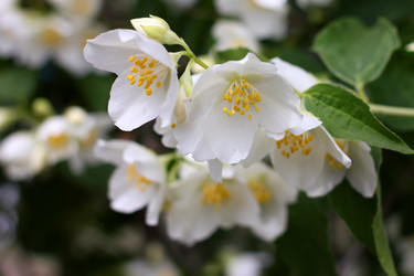 Similar image 11416038