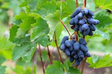 Similar image 11416039