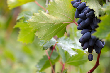 Similar image 11416040