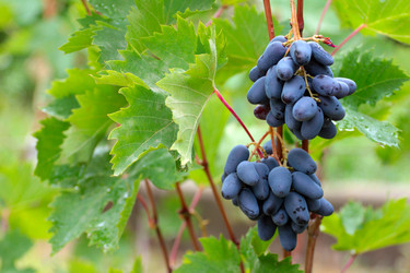 Similar image 11416041