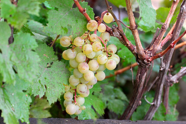 Similar image 11416051