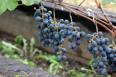 Similar image 11416052