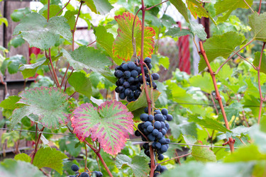 Similar image 11416053