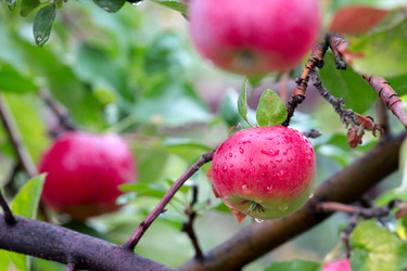 Similar image 11414888