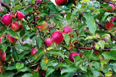 Similar image 11414897