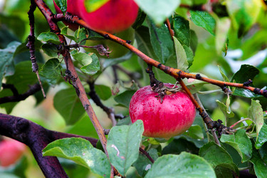 Similar image 11414898