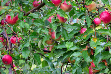 Similar image 11414899