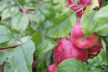 Similar image 11414900