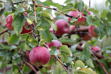 Similar image 11414901