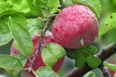 Similar image 11414902