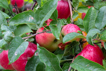 Similar image 11414904